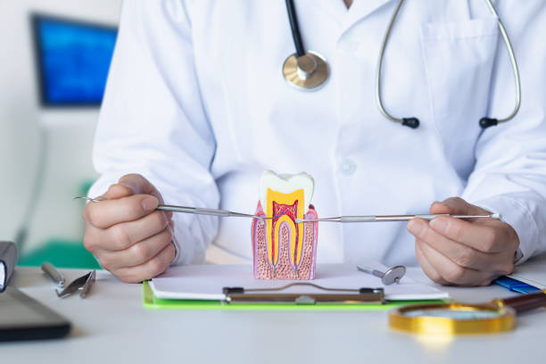 Best Emergency Root Canal Therapy in Stafford Springs, CT